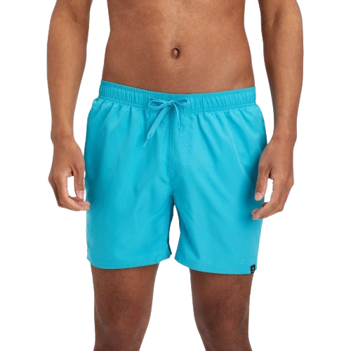 Mens turquoise swim shorts online