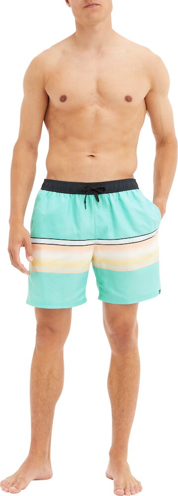 Firefly Swimming Short For Men, Dark Mint